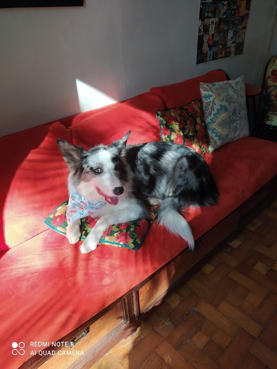 Casa de hóspedes Acca Mariana 3*