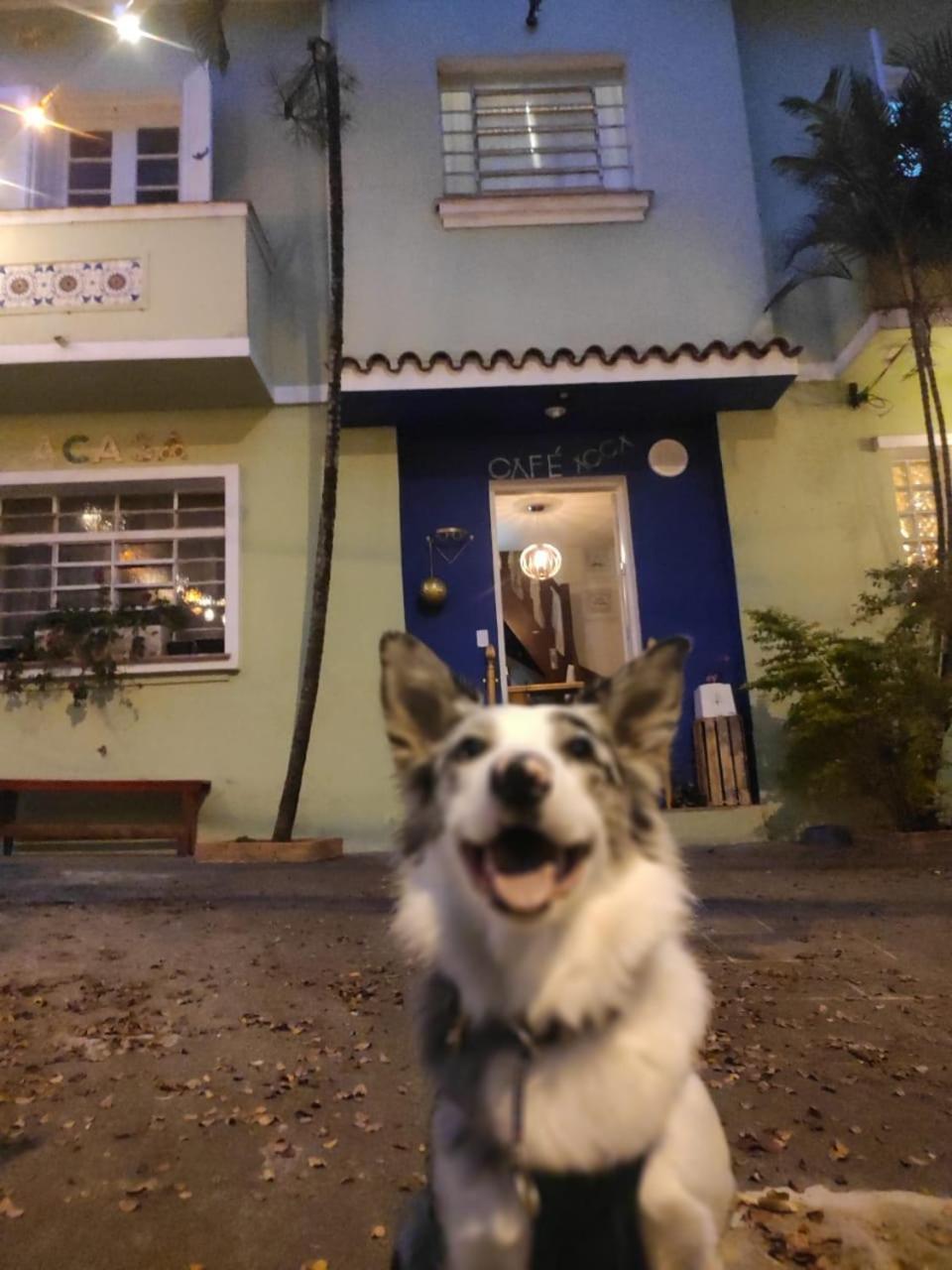 Casa de hóspedes Acca Mariana 3*